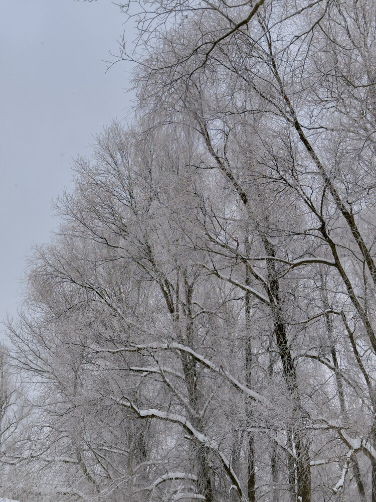Photograph by Анастасия Терехова