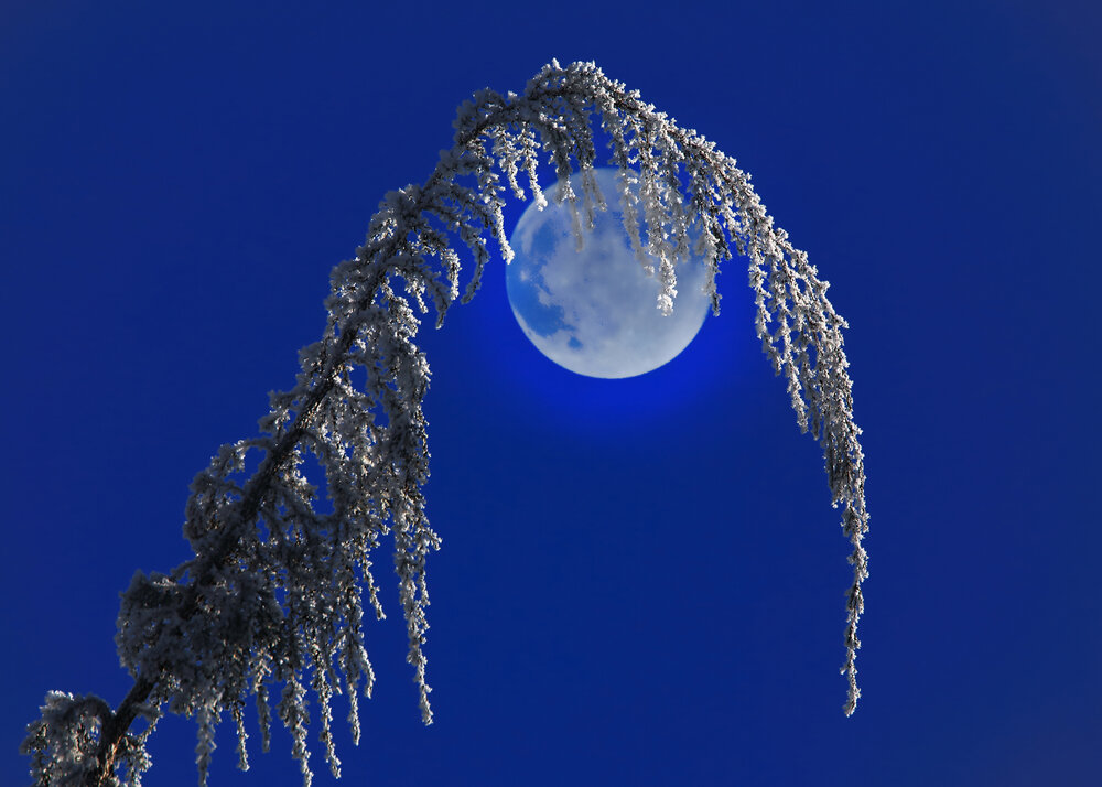 Photograph by Николай Протасеня