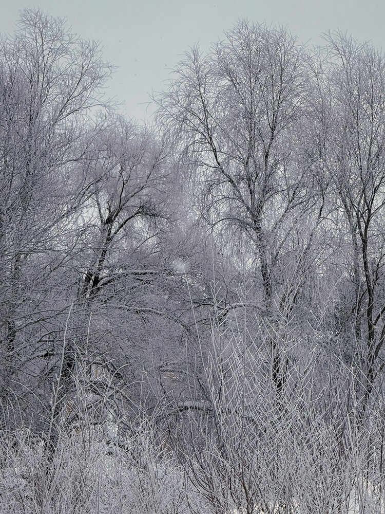 Photograph by Анастасия Терехова