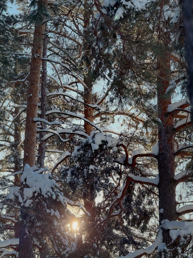 Photograph by Анастасия Терехова