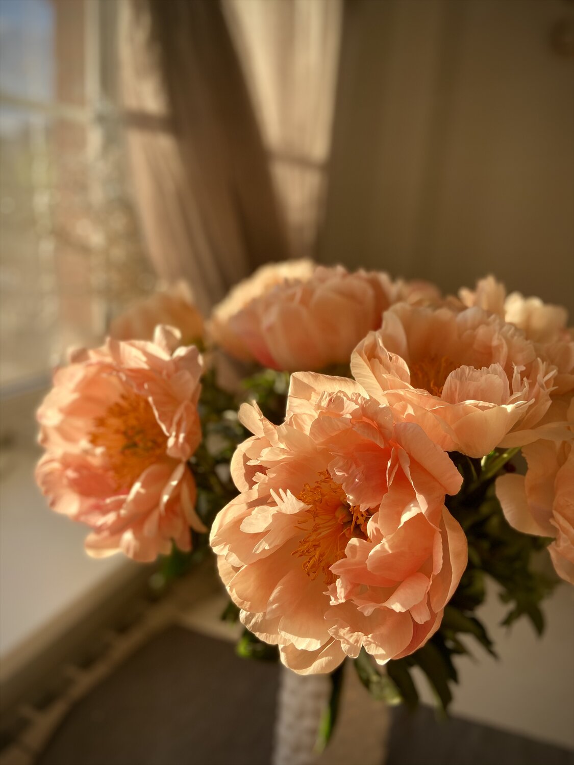 Photo #13890899