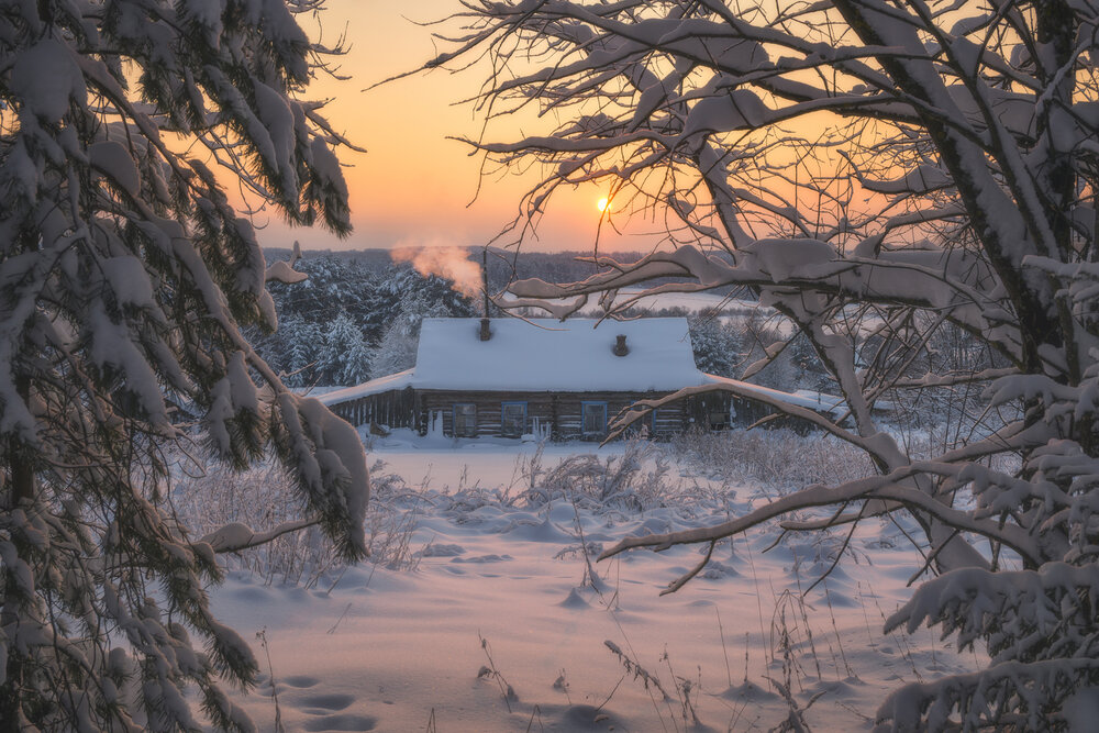 Photograph by Устюжанин Михаил