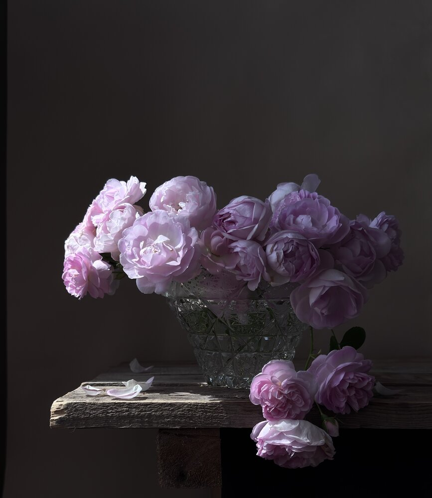 Photograph by Татьяна Семёнова