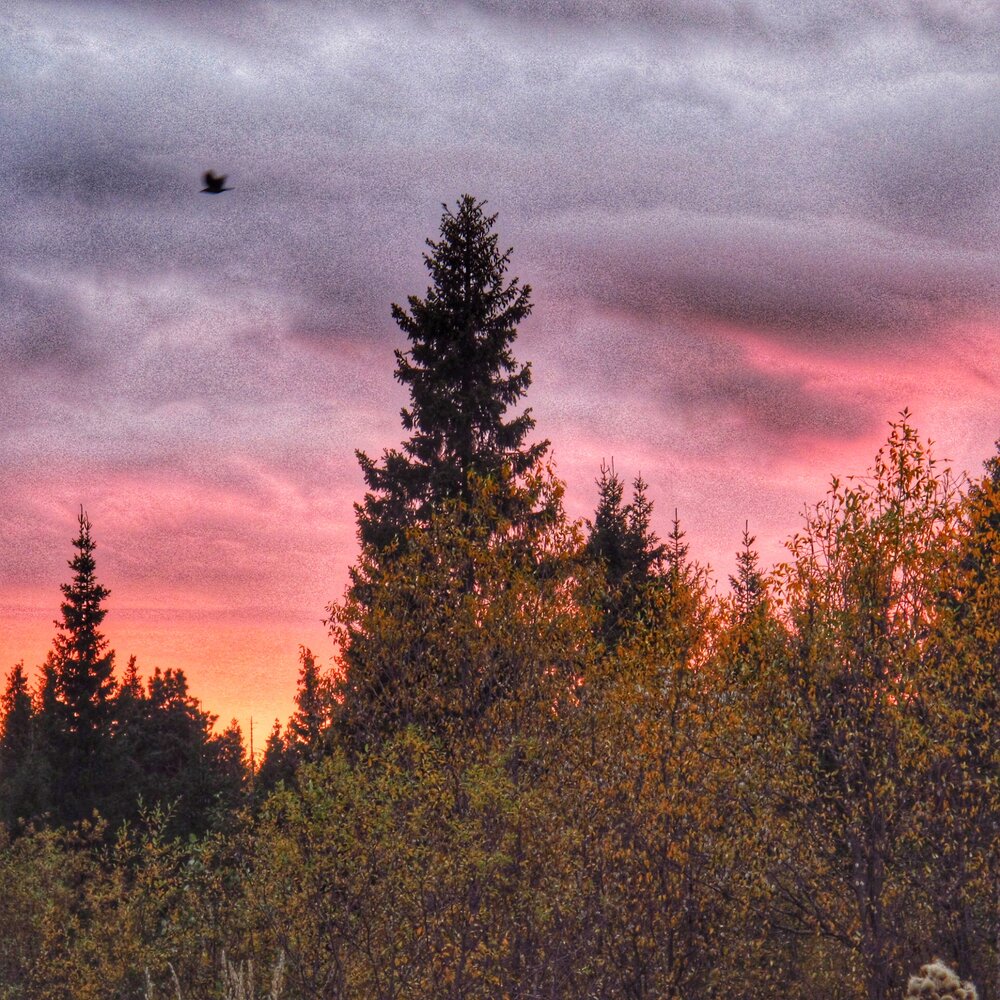 Photograph by Ульяна Кузьмина