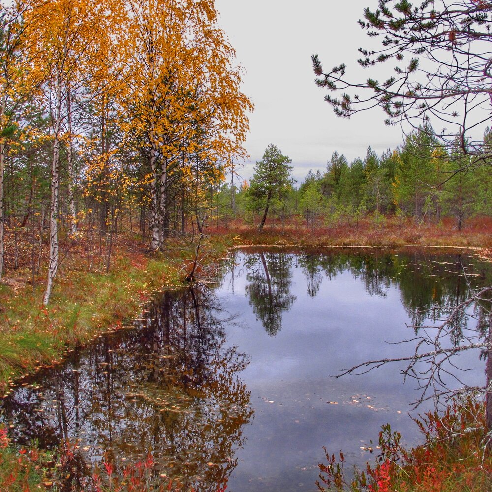 Photograph by Ульяна Кузьмина