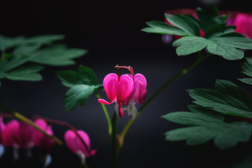 Photograph by Людмила Завьялова