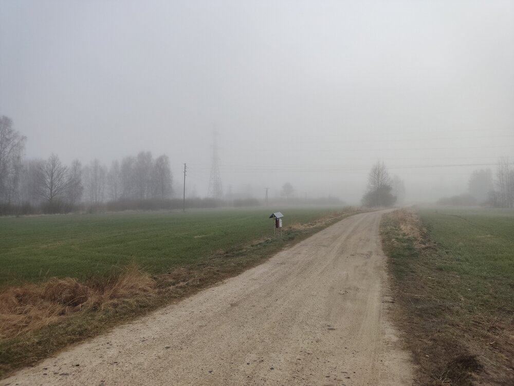 Photo #13891040