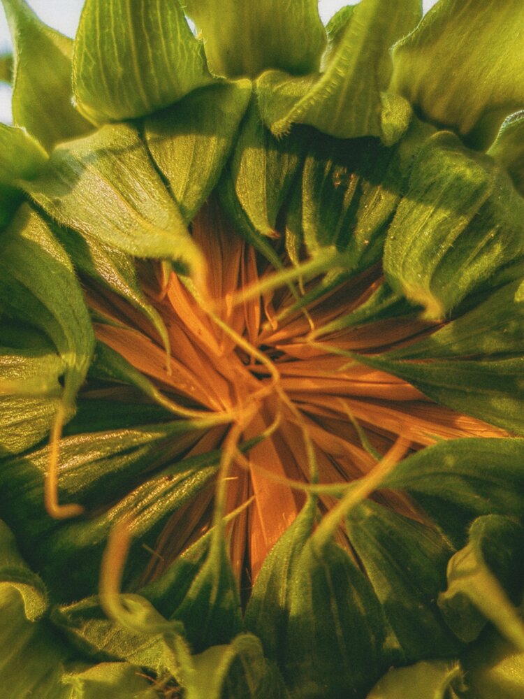 Photograph by Мария Самохвалова