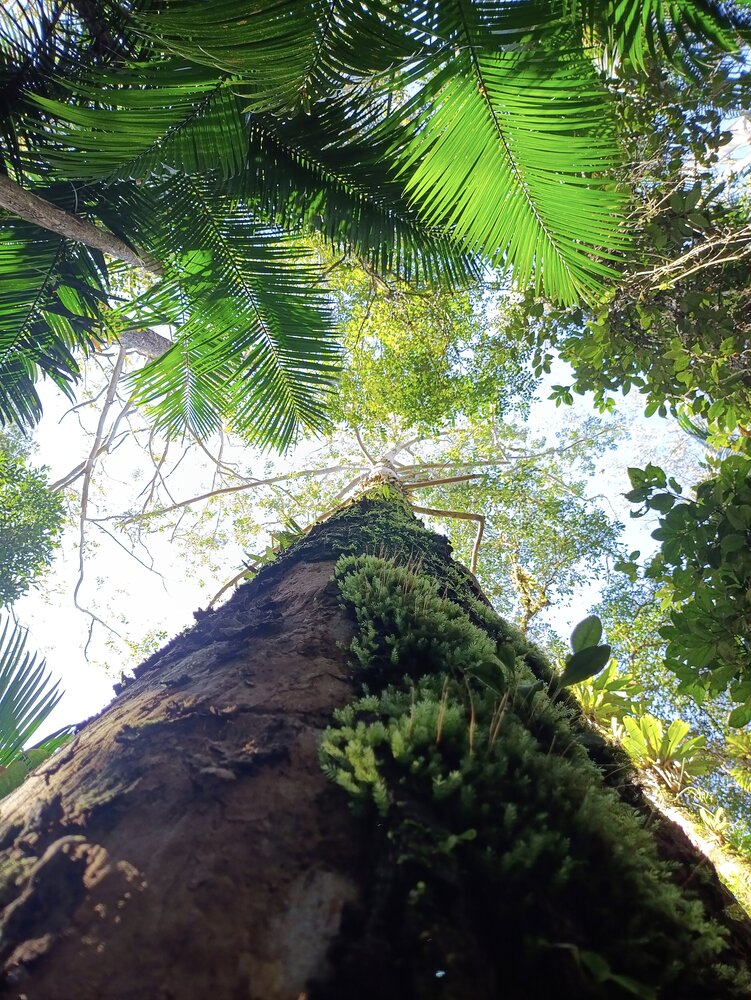 Photograph by Ricardo Rodrigues Gomes Da Silva