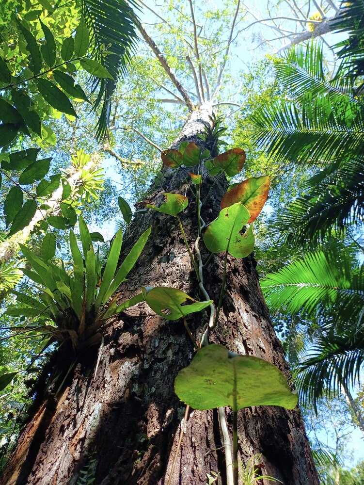 Photograph by Ricardo Rodrigues Gomes Da Silva