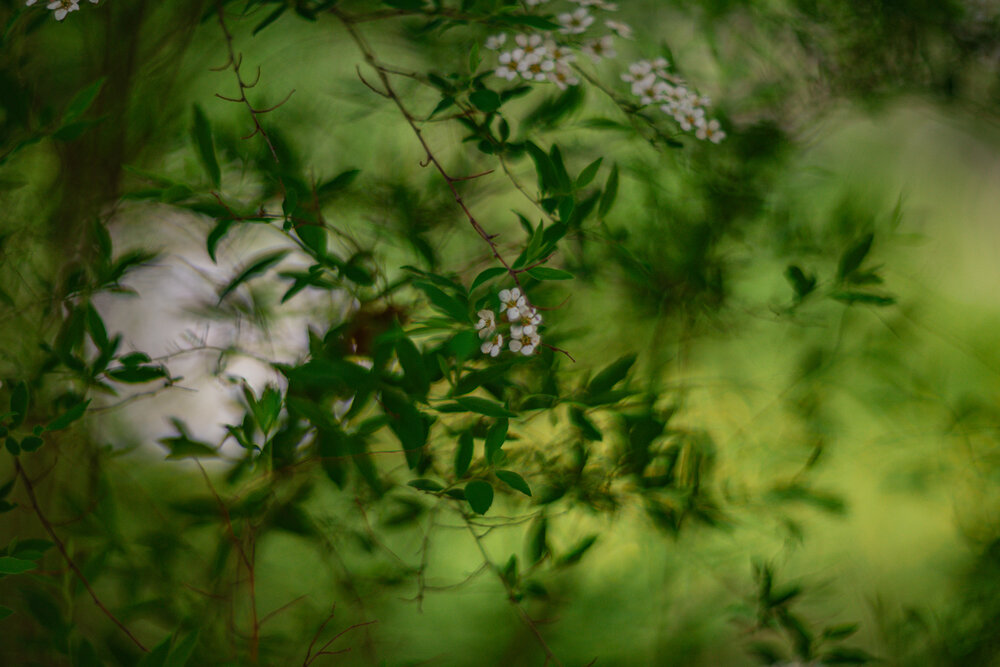 Photograph by Maxim Belous