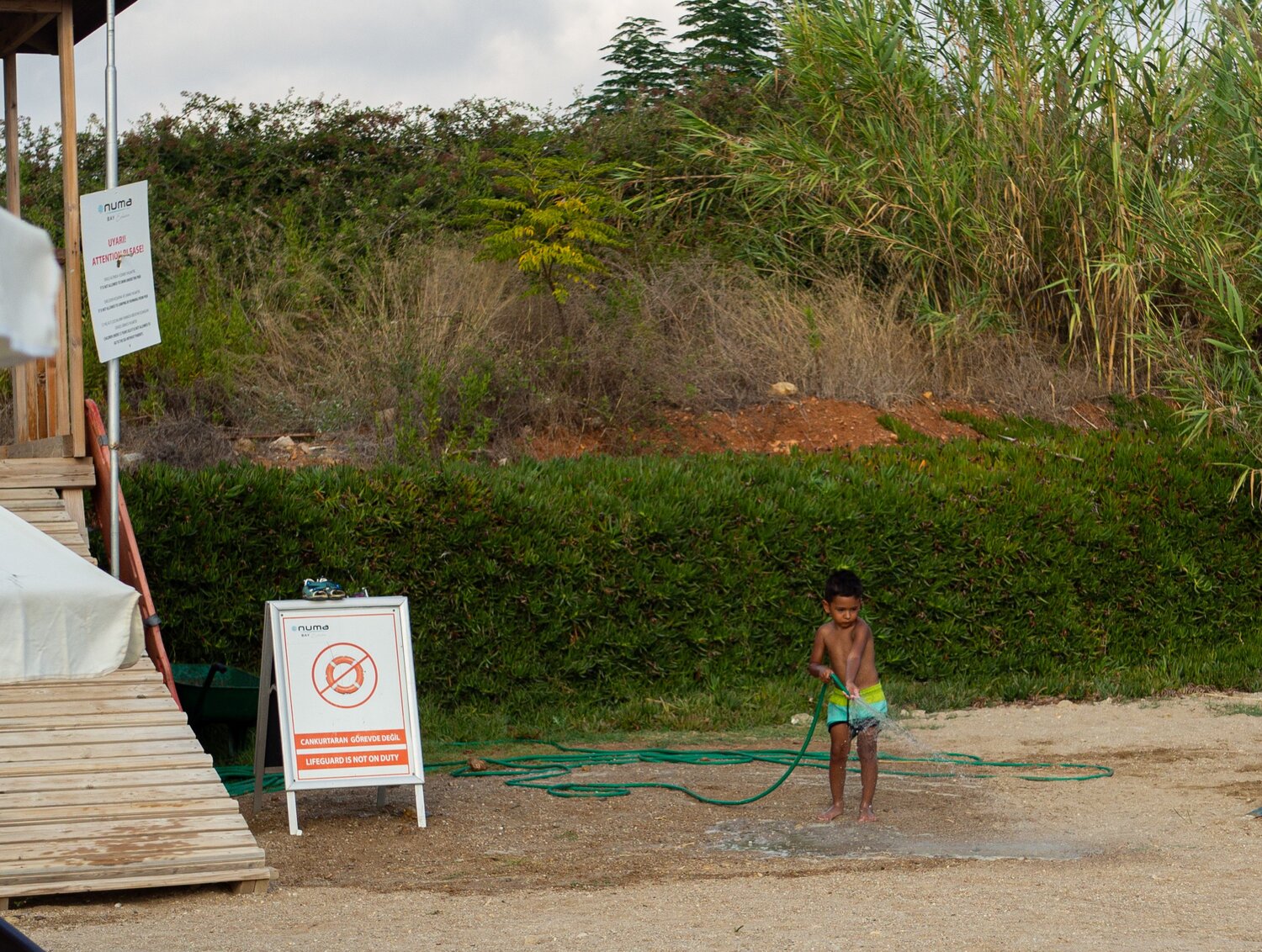 Photo #13891093