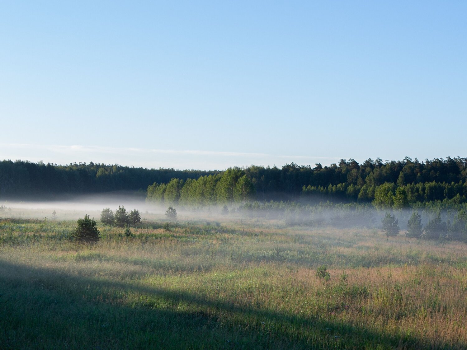 Photo #13891112