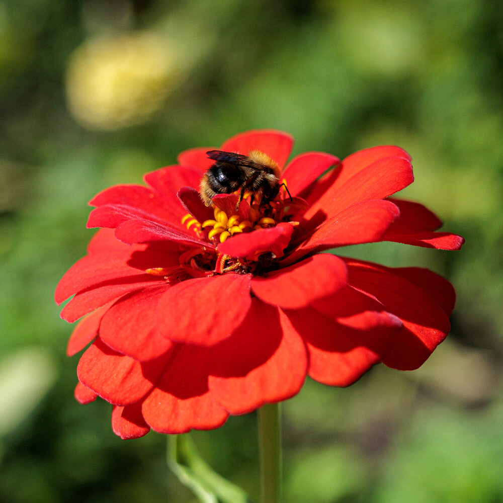 Photograph by Ильшат Абдуллин