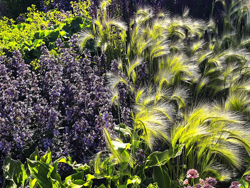 Photograph by ОЛЬГА ДЕРБЕНЕВА