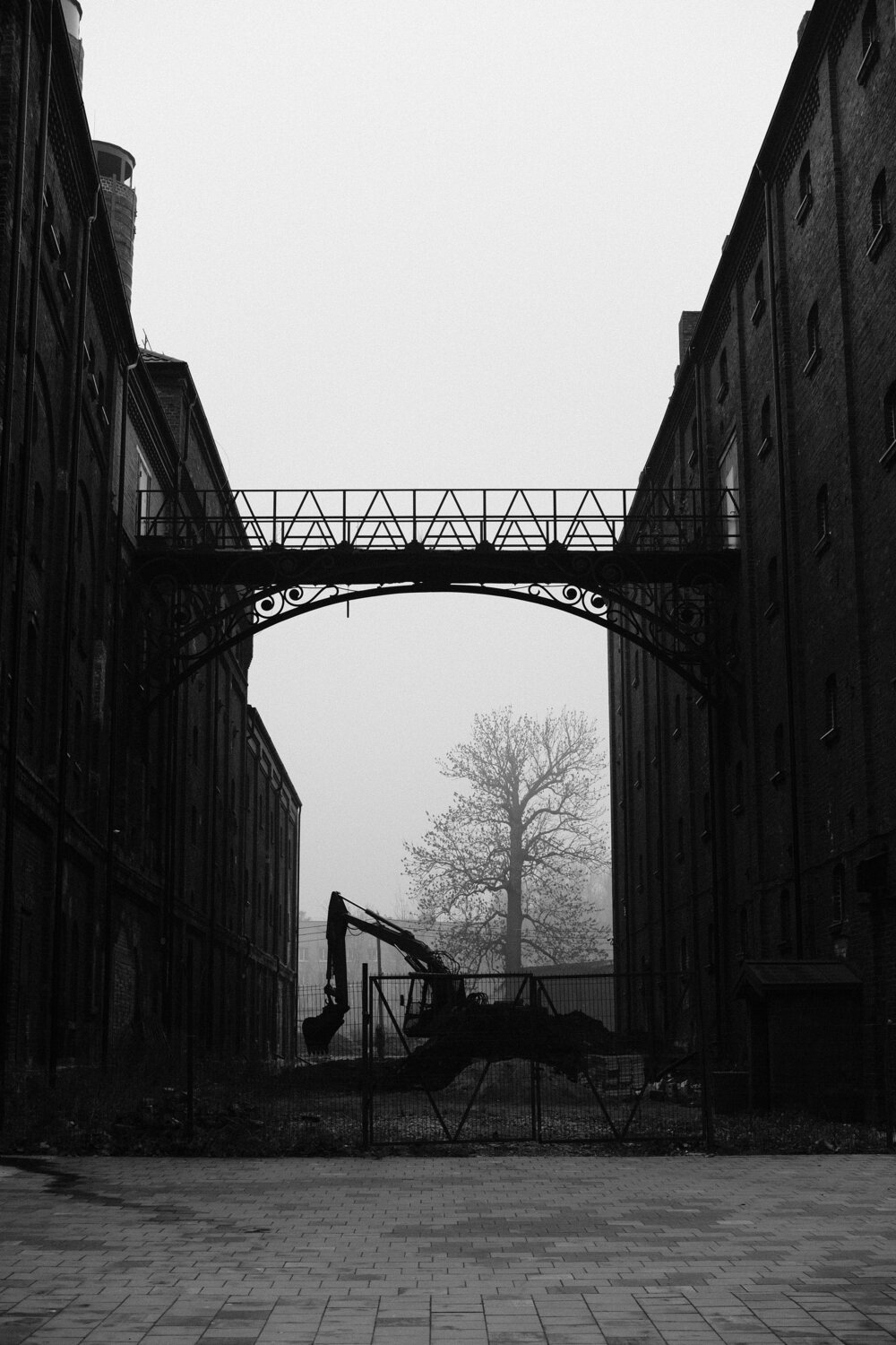 Photo #13891235