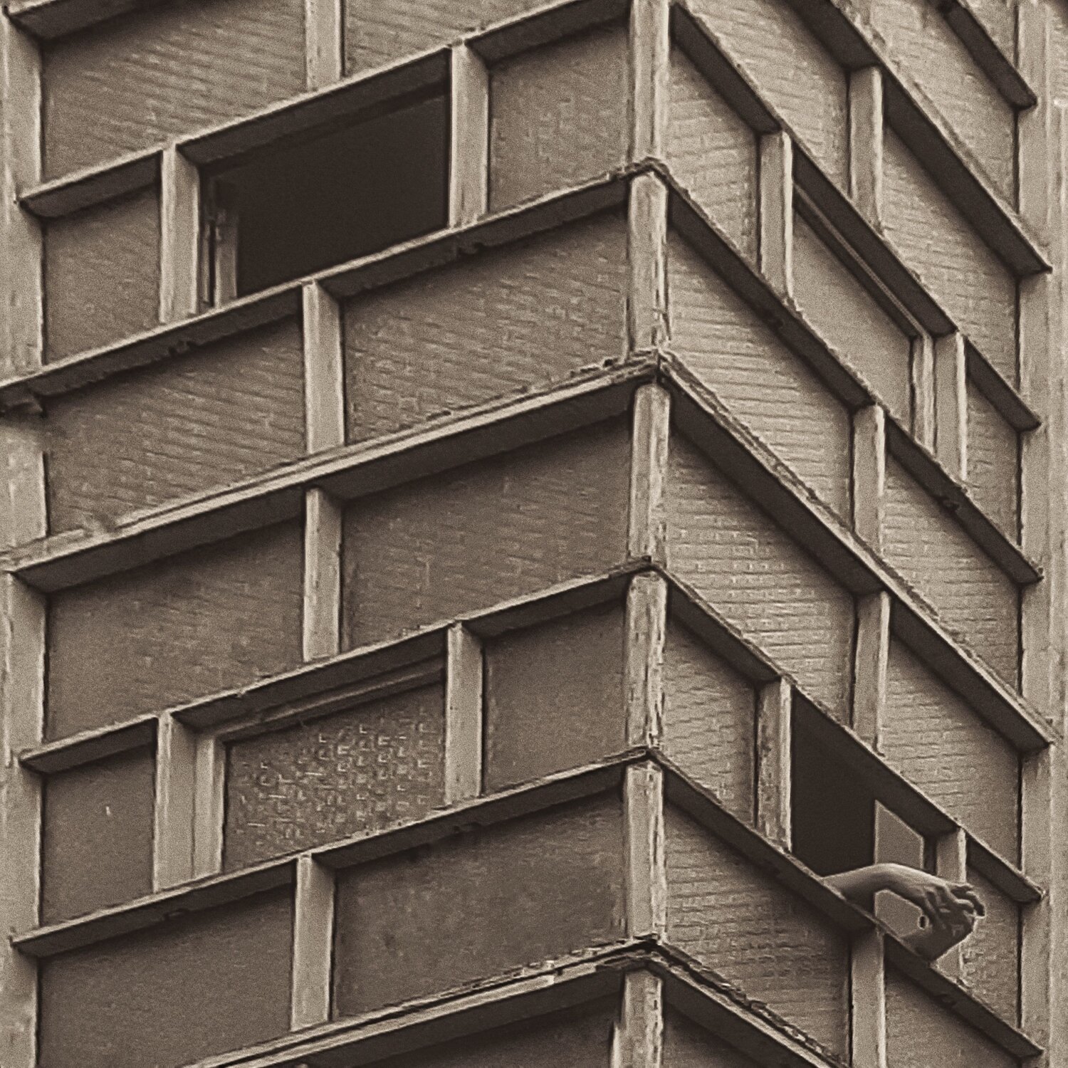Photo #13891272