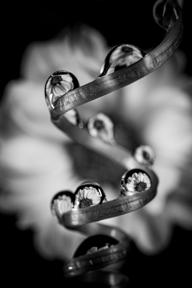 Photograph by Bùi Ngọc Hiếu