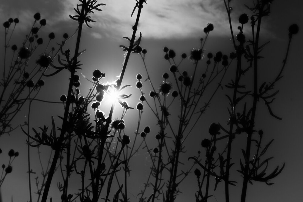 Photograph by Флора Хайбуллина