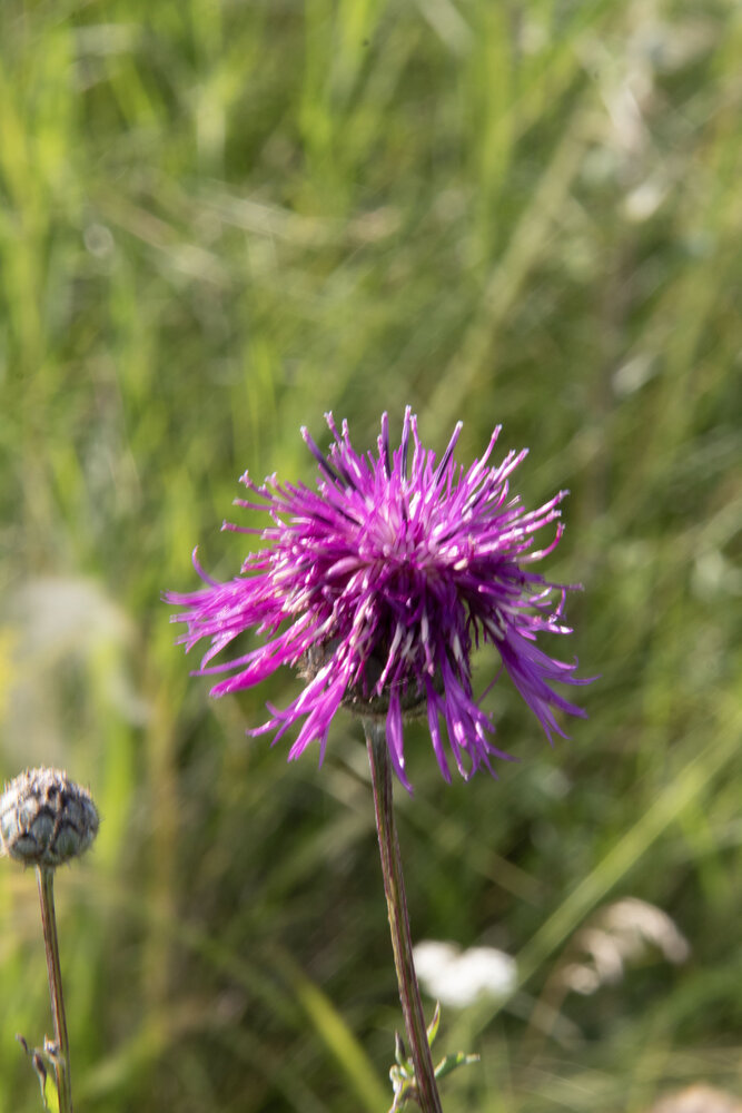 Photograph by Флора Хайбуллина