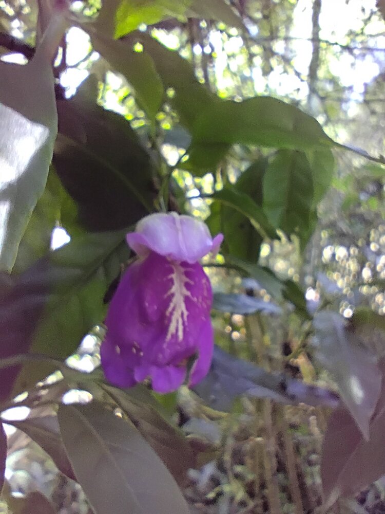 Photo #13891510