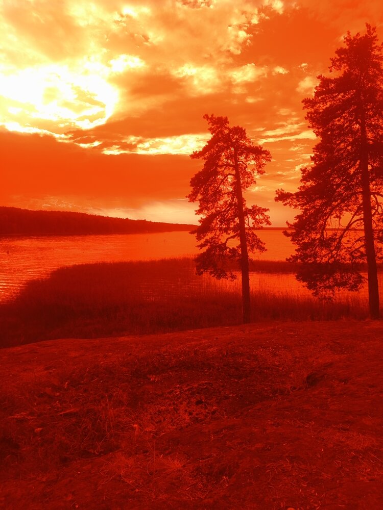 Фотография автора Елизавета Ермолина