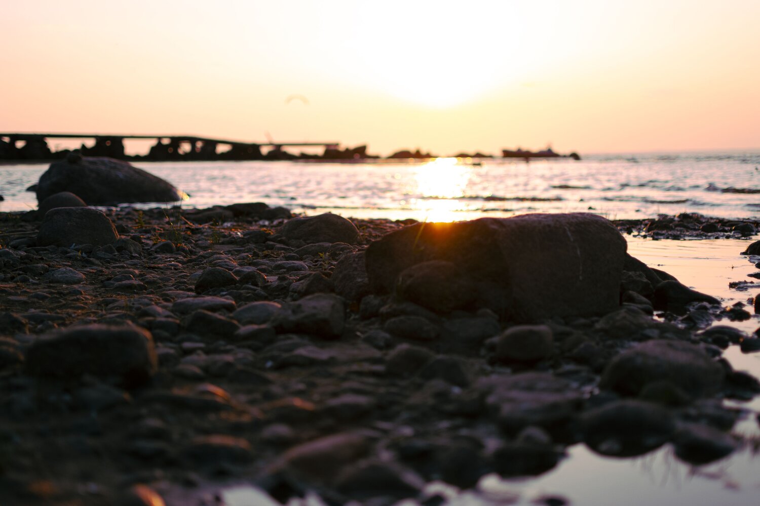 Photo #13891528