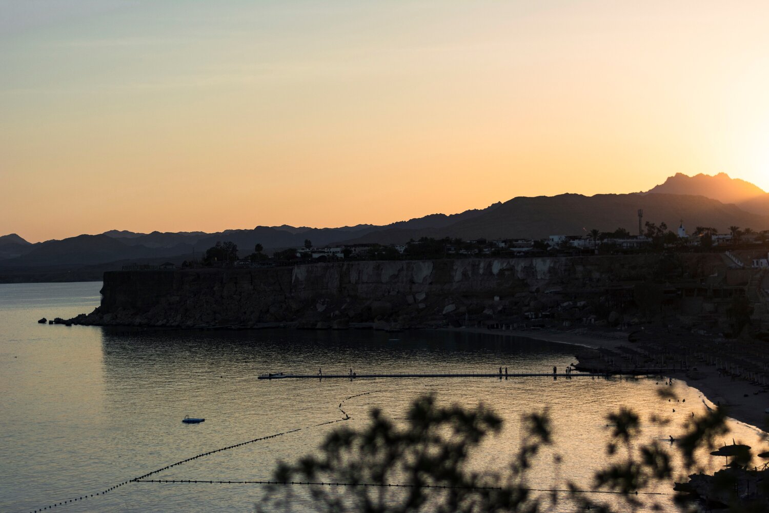 Photo #13891529