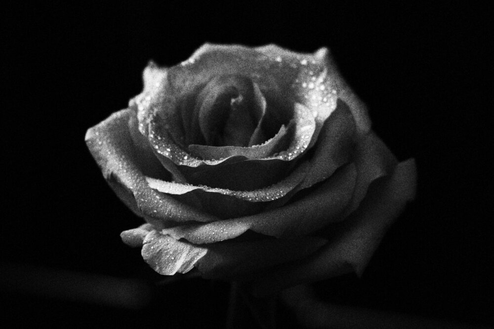 Photograph by Татьяна