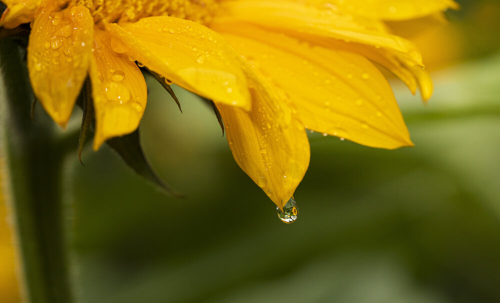 Photograph by Joice Kreiss