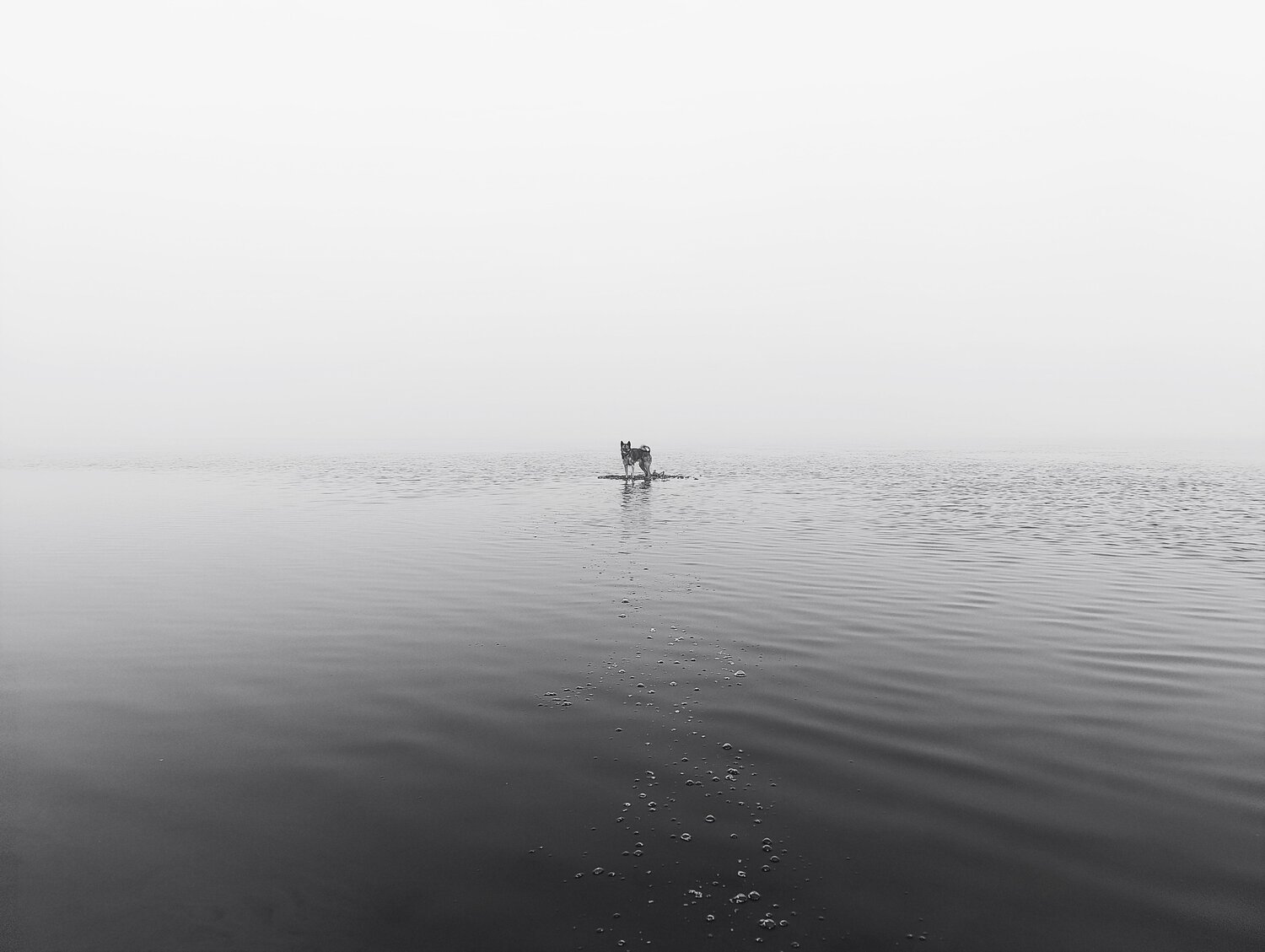 Photo #13891560