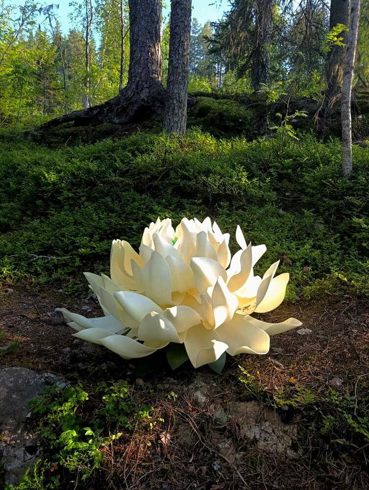 Photograph by Елизавета Ермолина