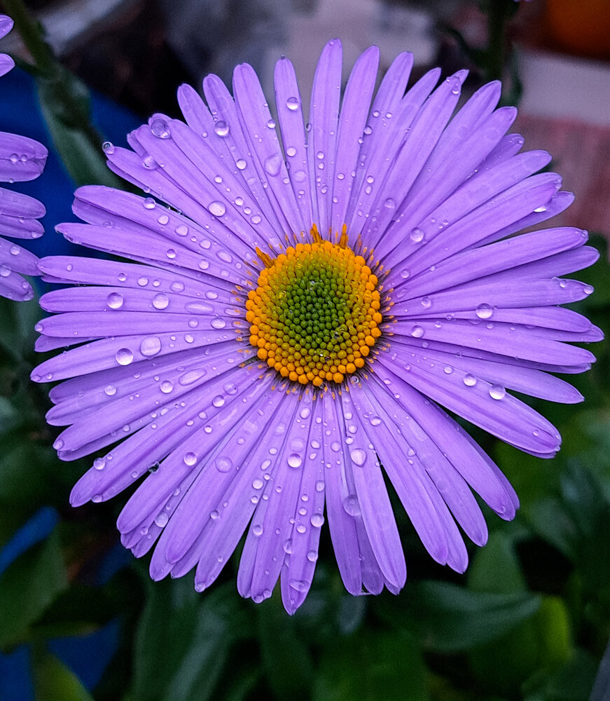 Photograph by Ксения Смирнова