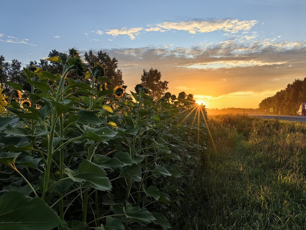 Photograph by Дмитрий Саньков