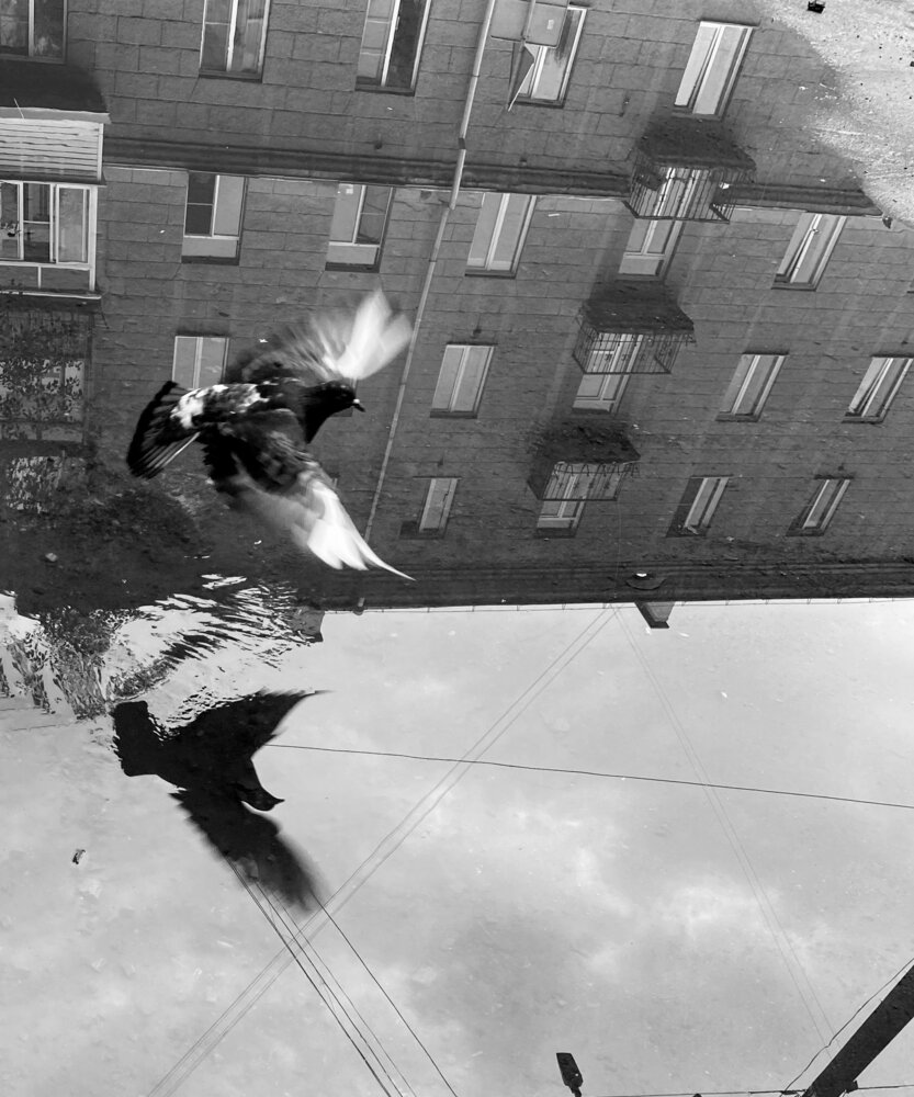 Photograph by Анна Скряжевская
