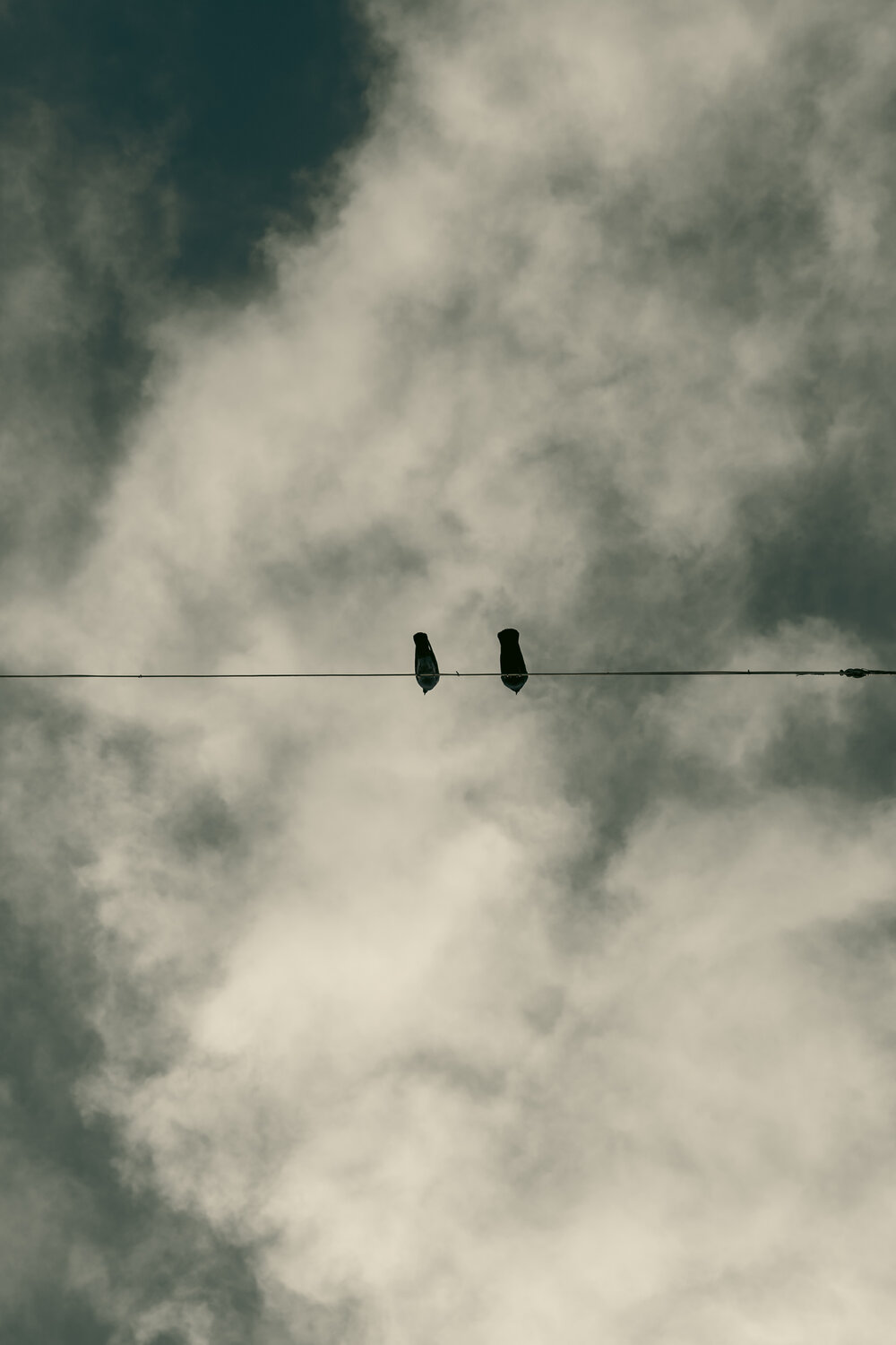 Photo #13891843