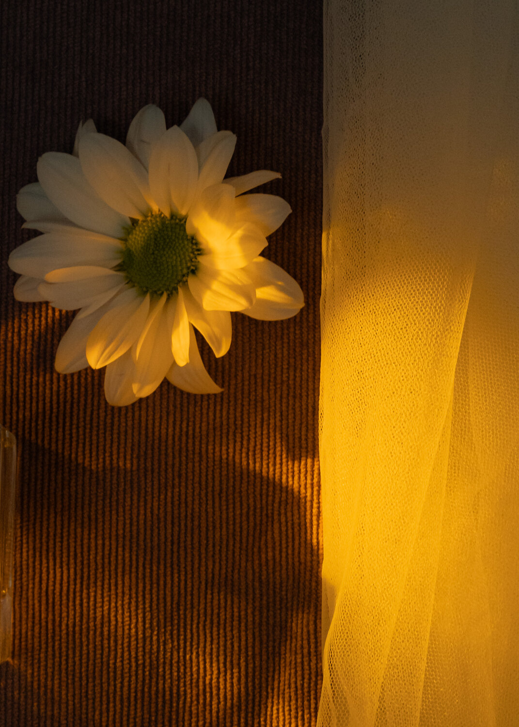 Photo #13891846