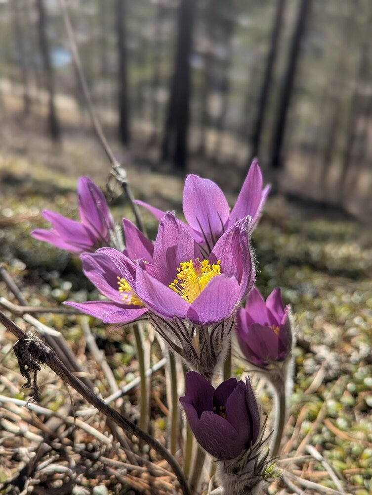 Photograph by Женя Евсеева