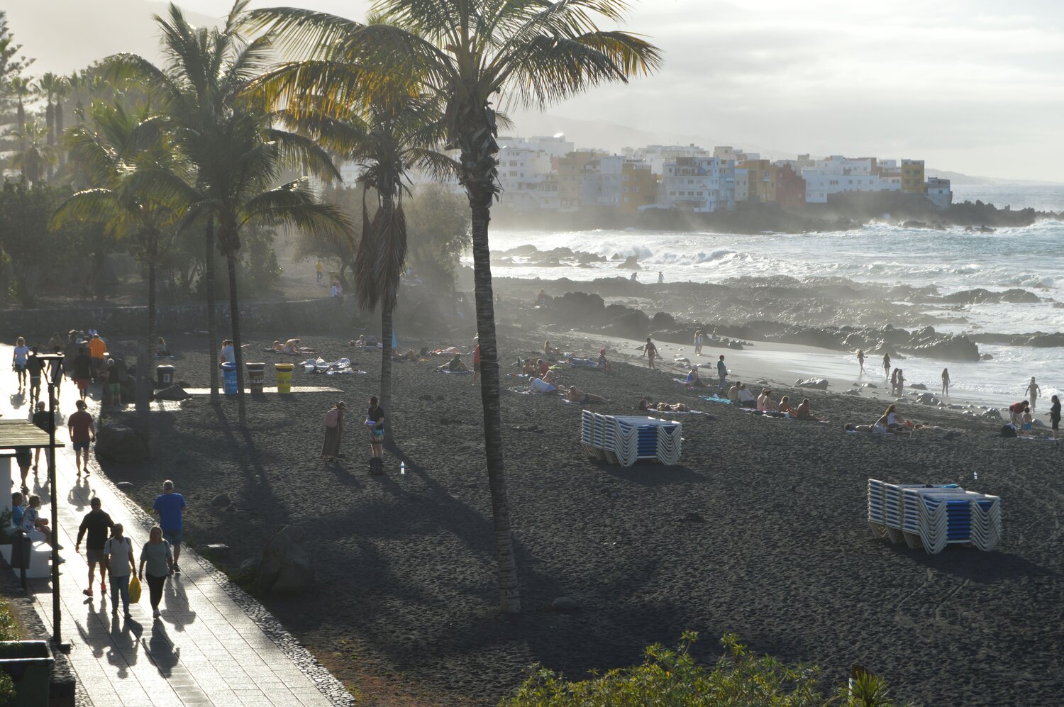 Photo #13892008