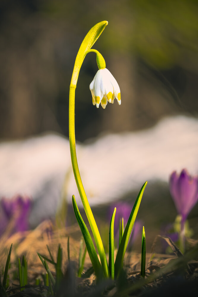 Photograph by Gregor Kobilica