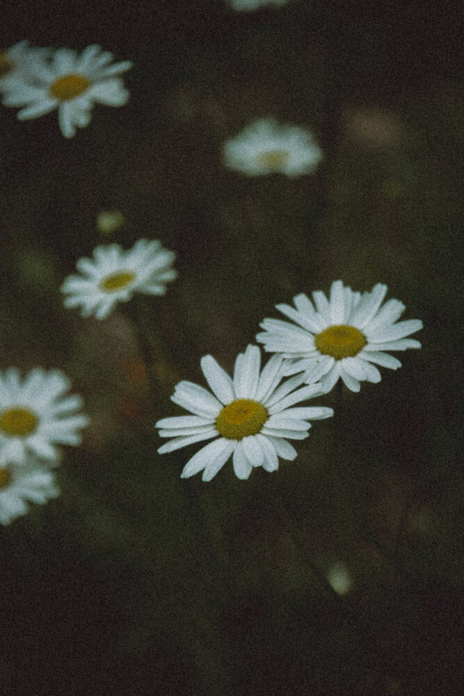 Photograph by Anna Seroczynska