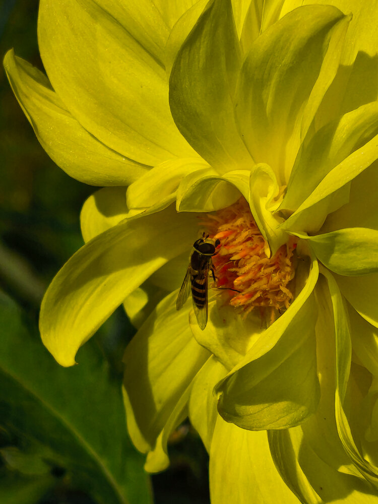 Photograph by Наталья Веселкина