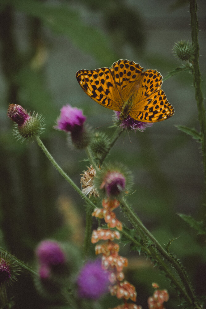 Photograph by Anna Seroczynska