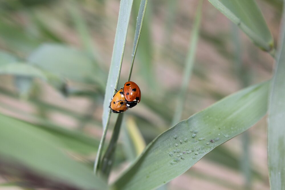 Photograph by Olga Bagaeva