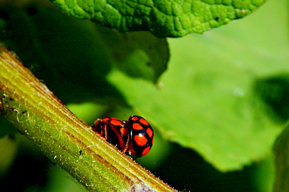 Photograph by Дмитрий Симагин