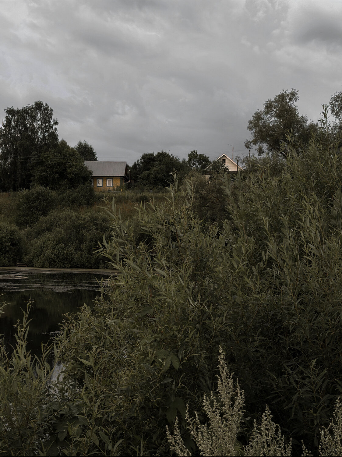 Photo #13892199