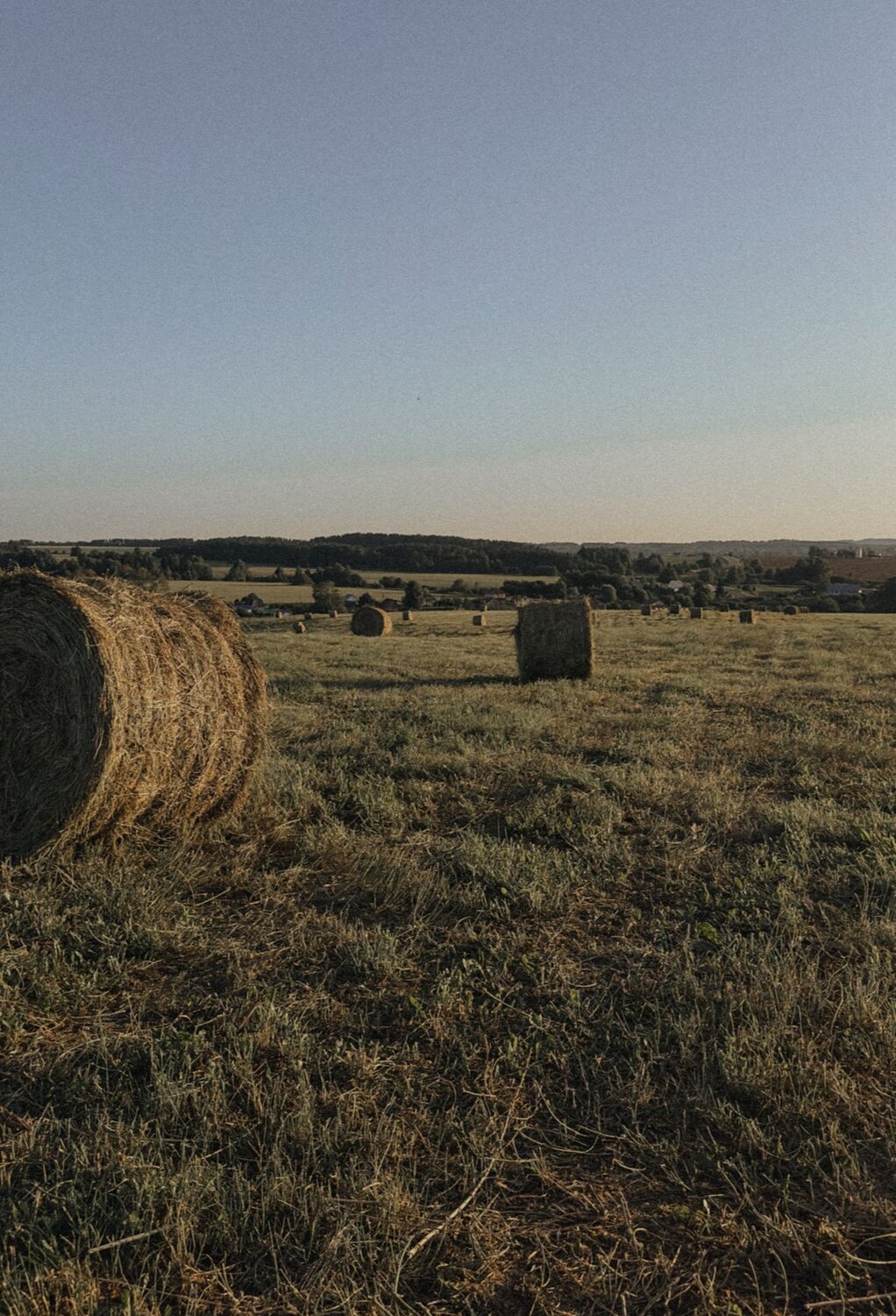 Photo #13892201