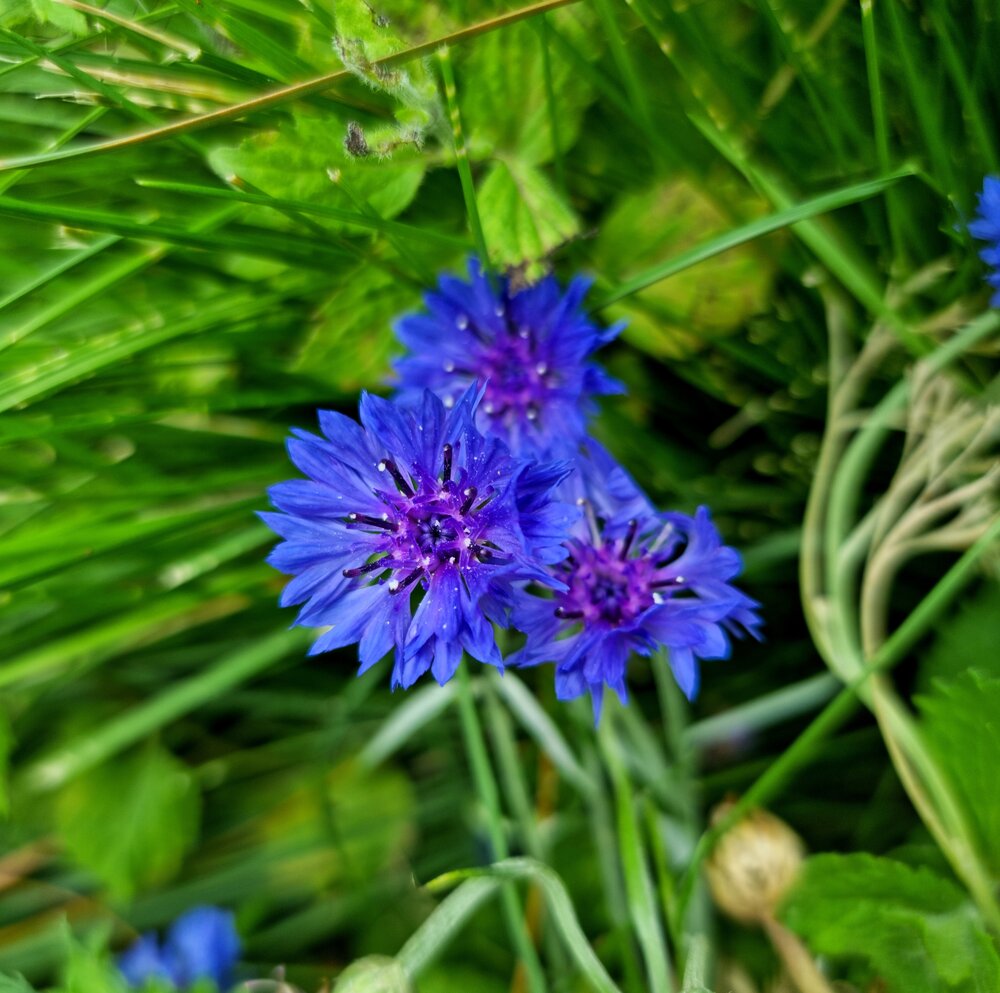 Photograph by Кристина Лакс