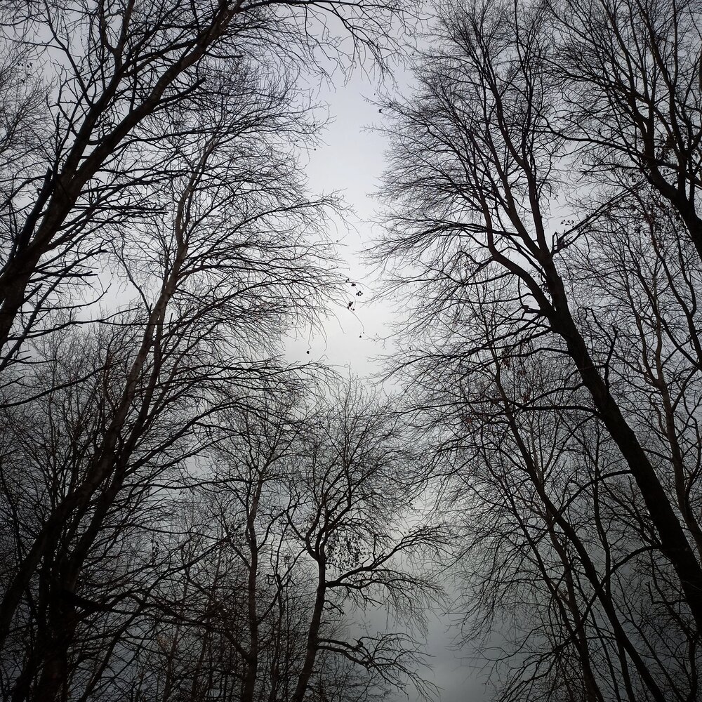 Photo #13892206