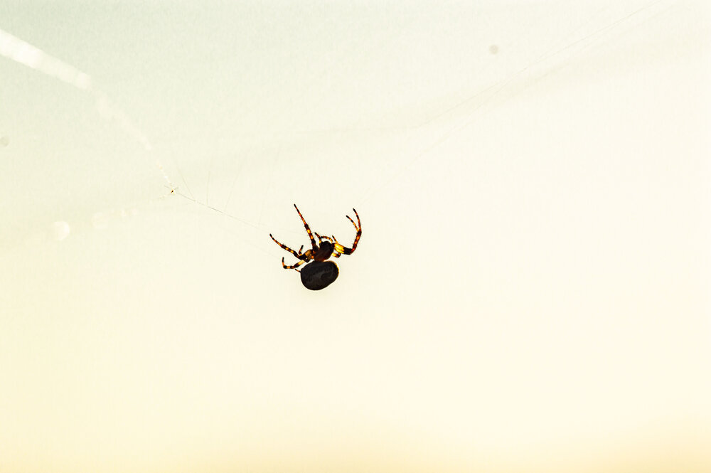 Photograph by Алексей Сиваков